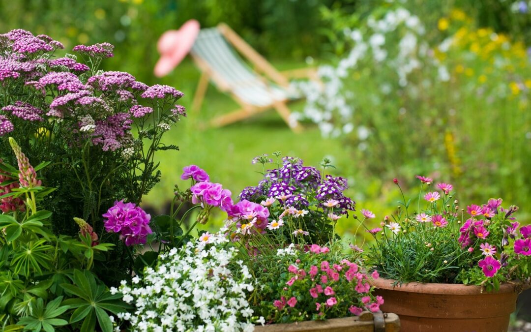 Der Sommer ist da! Schöne Pflanzen für Balkon, Terrasse und Garten gibt’s bei uns!