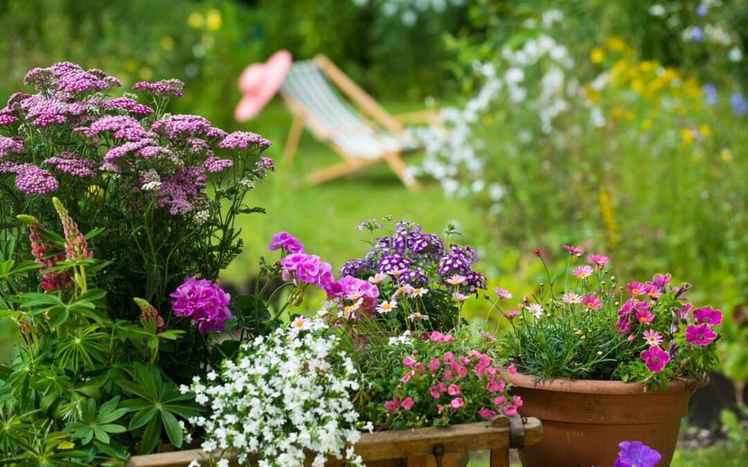 Der Sommer ist da! Schöne Pflanzen für Balkon, Terrasse und Garten gibt’s bei uns!