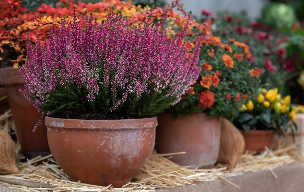 Der Herbst wird bunt: Zeit für neue Farben!